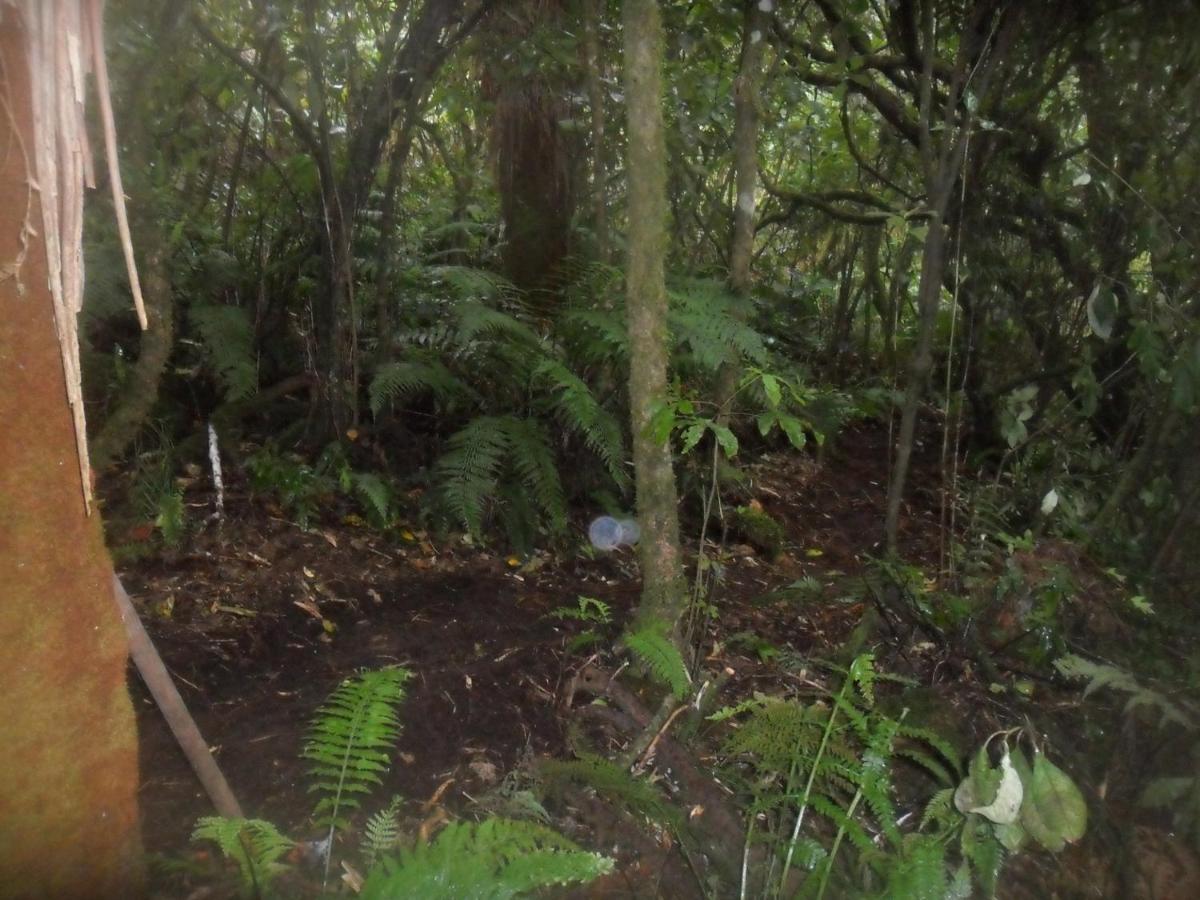 Tui Glen Vila Raurimu Spiral Exterior foto